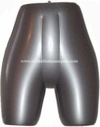 Female Panty Form